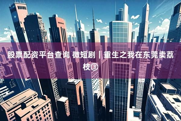 股票配资平台查询 微短剧｜重生之我在东莞卖荔枝③