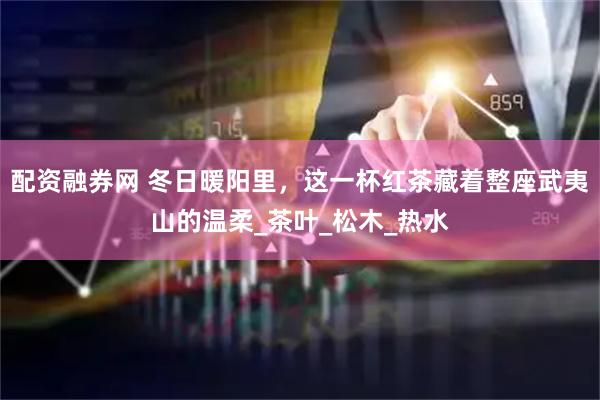 配资融券网 冬日暖阳里，这一杯红茶藏着整座武夷山的温柔_茶叶_松木_热水